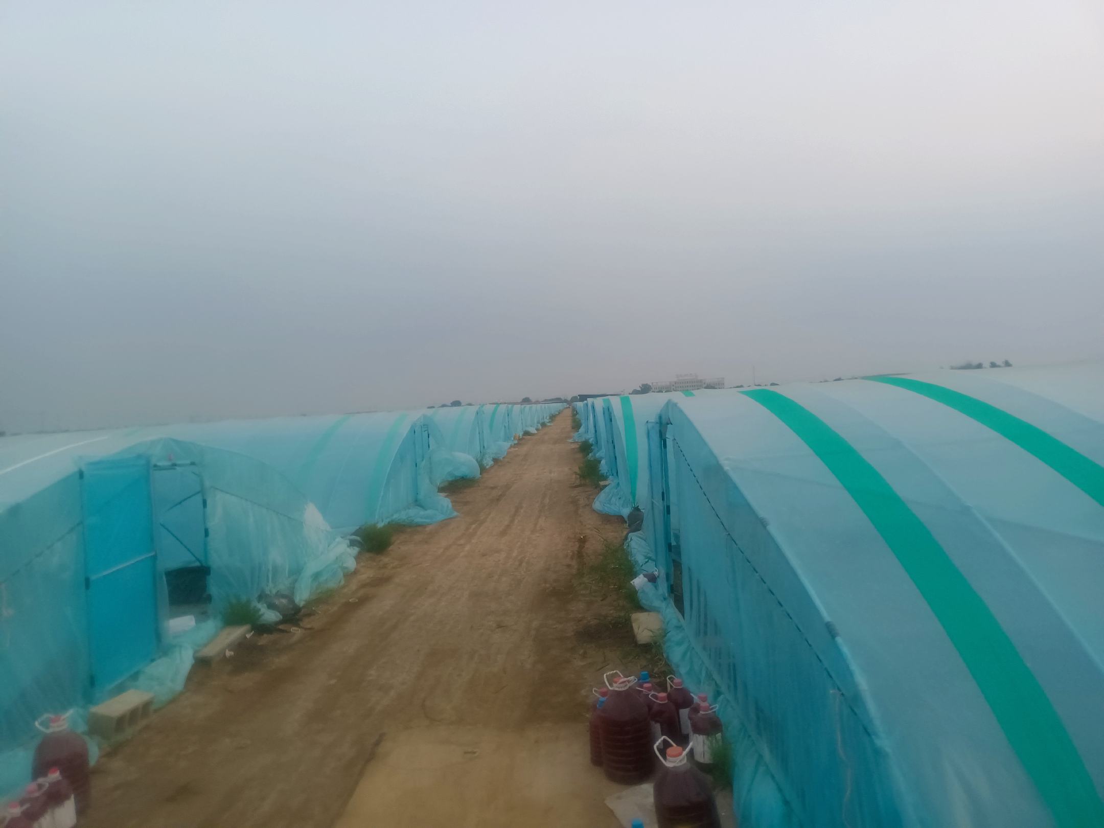 图中展示常用对虾治疗药物及其使用方式,包括泼洒、拌料、口服等 对虾病害治疗用药示意图