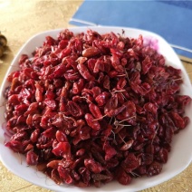 山茱萸