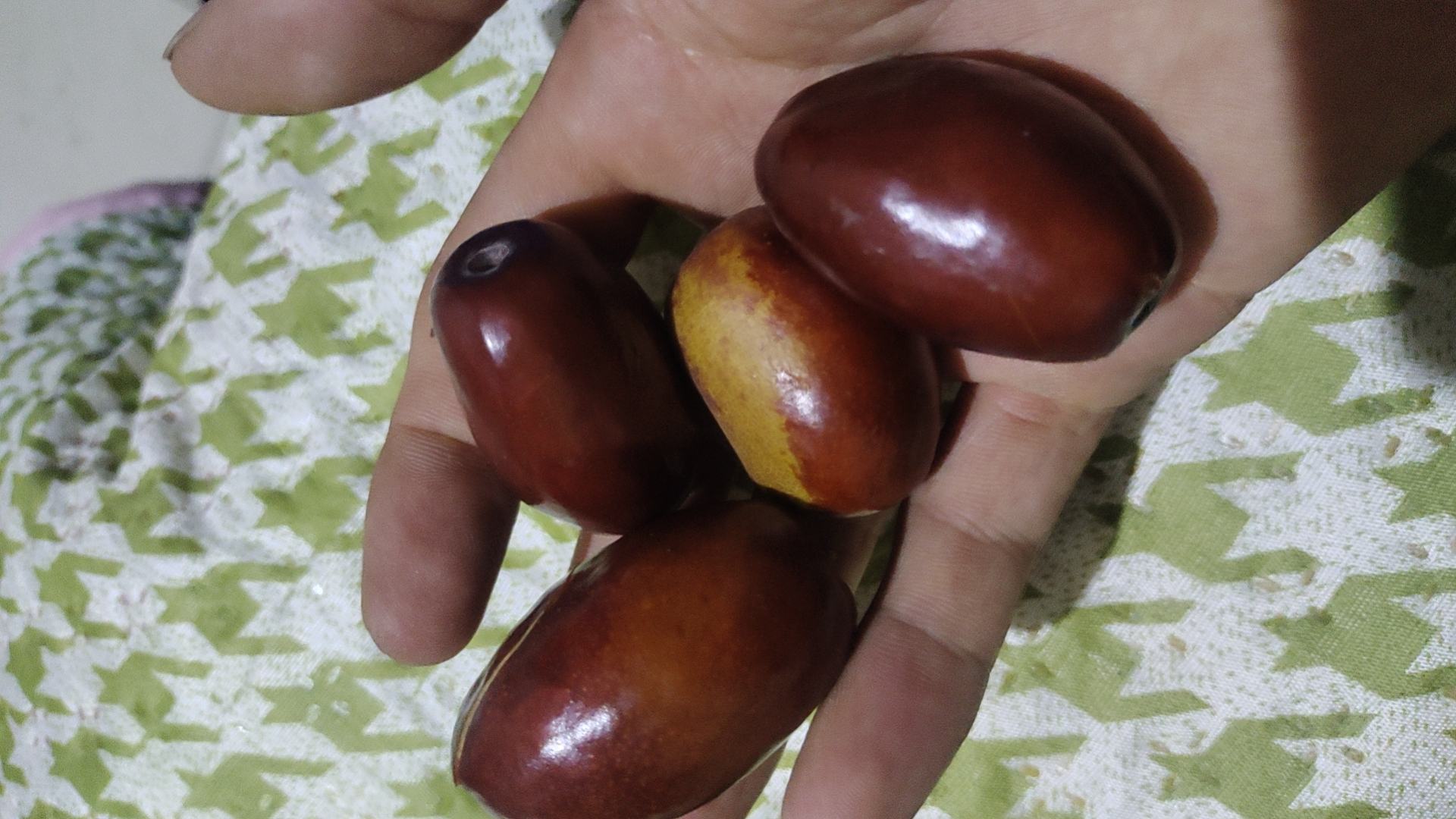 新鲜采摘的长枣特写