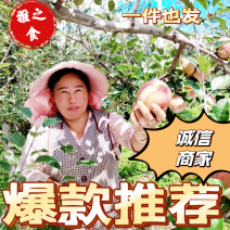四川大凉山盐源苹果电商物流整车一件代发团购批发商超
