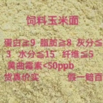 饲料玉米面