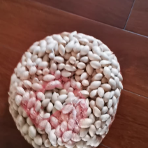 白果