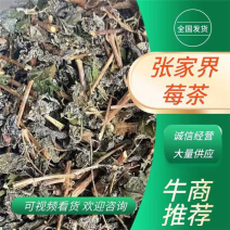 莓茶成叶茶
