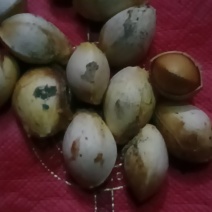 银杏果