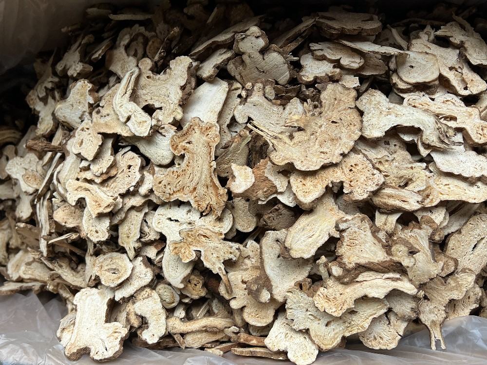 白术片与其他常见中药材对比图