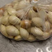 银杏果