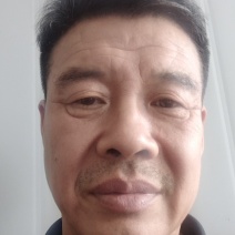 橡子