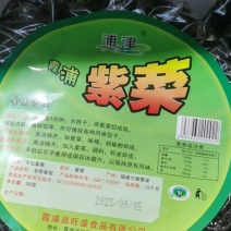 干坛紫菜