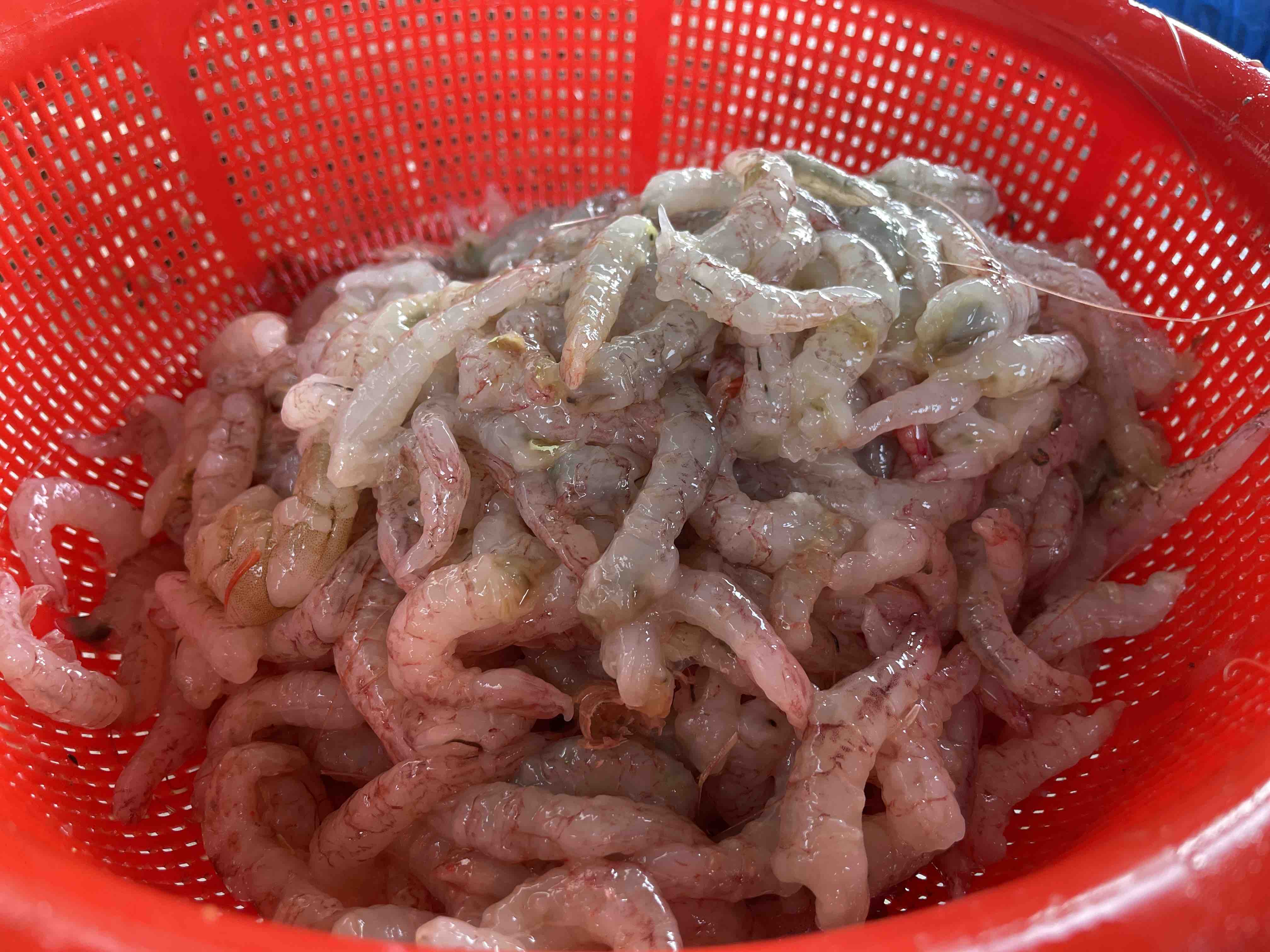 高清食材对比图:新鲜沙瓤西红柿与现剥鲜虾仁同框,突出色泽、质地与洁净度,体现‘安全同食’的视觉信任感 西红柿与鲜虾并排摆放特写:左侧为4-5颗饱满红润的沙瓤西红柿(带青梗),右侧为20只去壳去线的鲜虾仁(半透明带淡粉光泽),中间铺陈一小撮翠绿葱花,背景为原木砧板与不锈钢盆