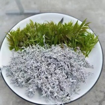 张家界莓茶