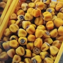 吊饼