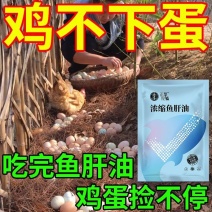 鸡下蛋饲料催蛋添加剂母鸡下蛋王鸡鸭鹅通用禽用产下蛋多多增