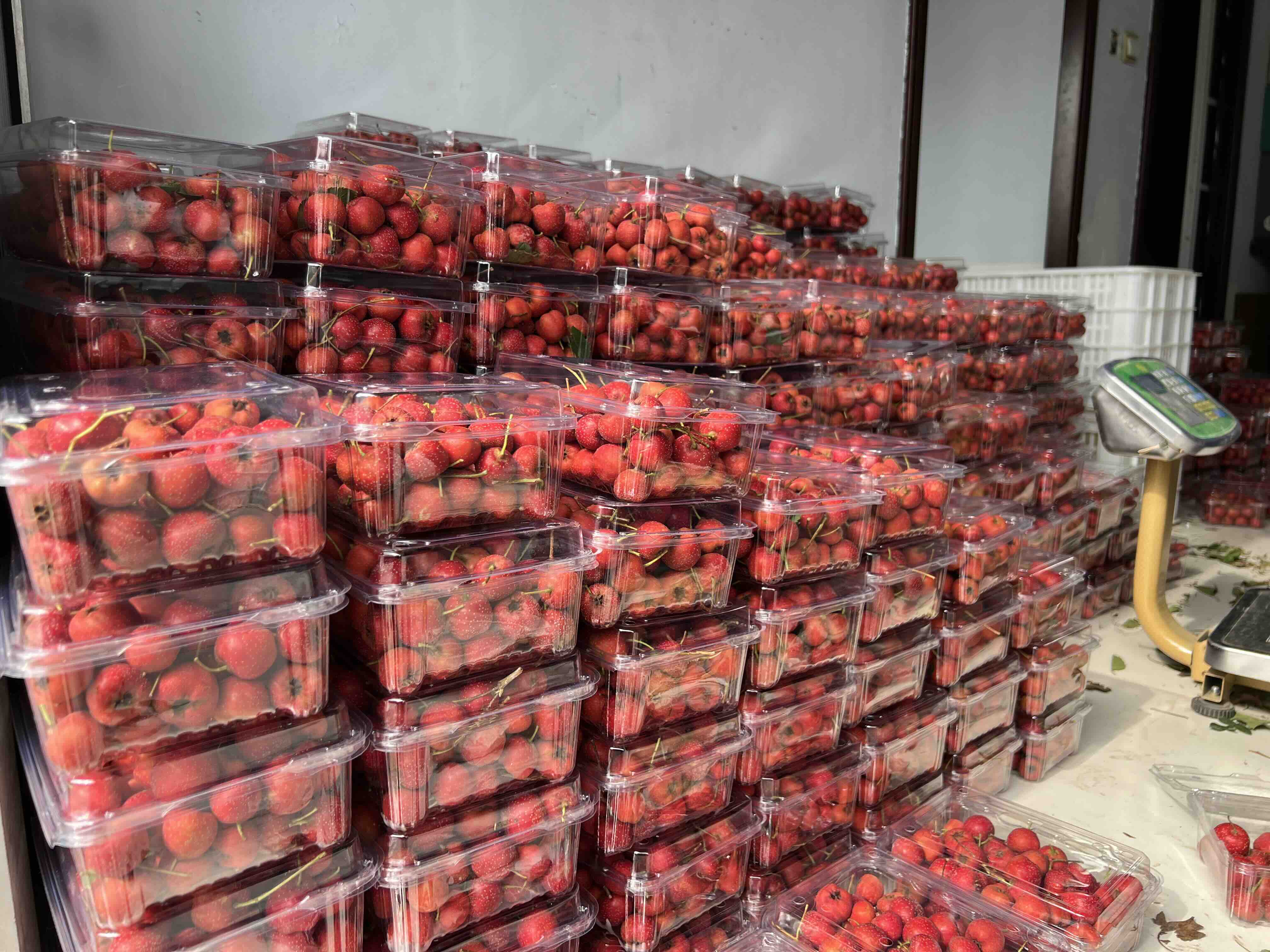 甜红子山楂深加工产品展示图