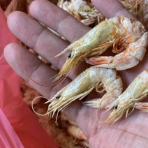 虾干、淡盐自晒海虾干