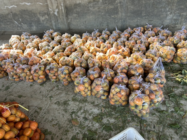 图片展示一个乡村集市摊位,左侧为印有磨盘图的文创产品,右侧为包装精美的磨盘柿礼盒,中间为热情介绍的摊主。 乡村文创市集中展示的磨盘图相关产品与磨盘柿礼盒