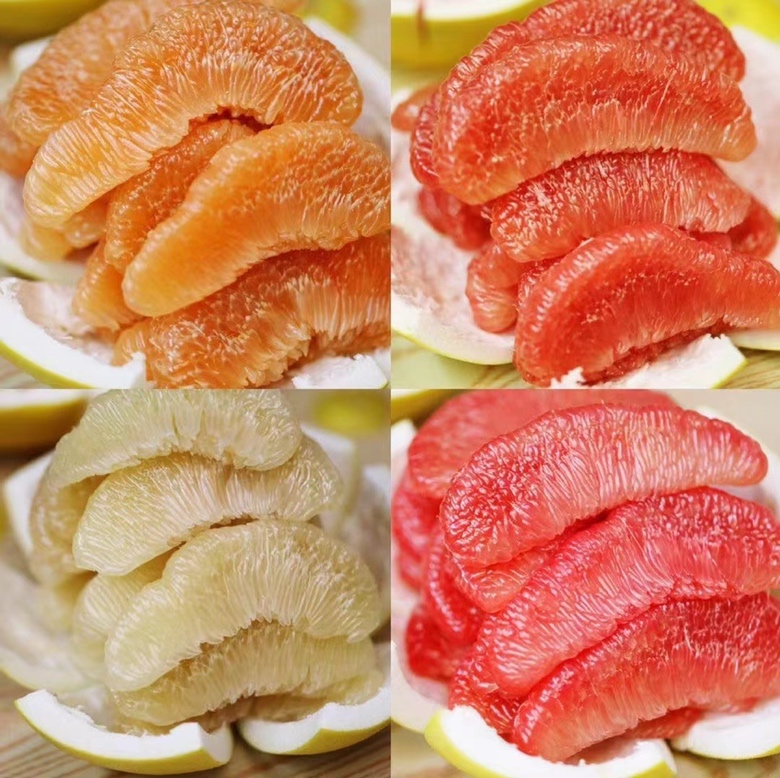 三类葡萄柚果肉颜色横切对比:白肉(Duncan)、粉肉(Ruby Red)、红肉(Star Ruby),展示真实色泽差异与汁囊结构 葡萄柚横切对比图:左侧白肉(象牙色)、中侧粉肉(桃粉色)、右侧红肉(深玫瑰红),果肉纹理清晰,汁囊饱满水润,背景为纯白无影台面