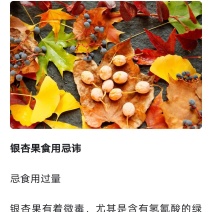 银杏果
