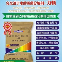 力顿
