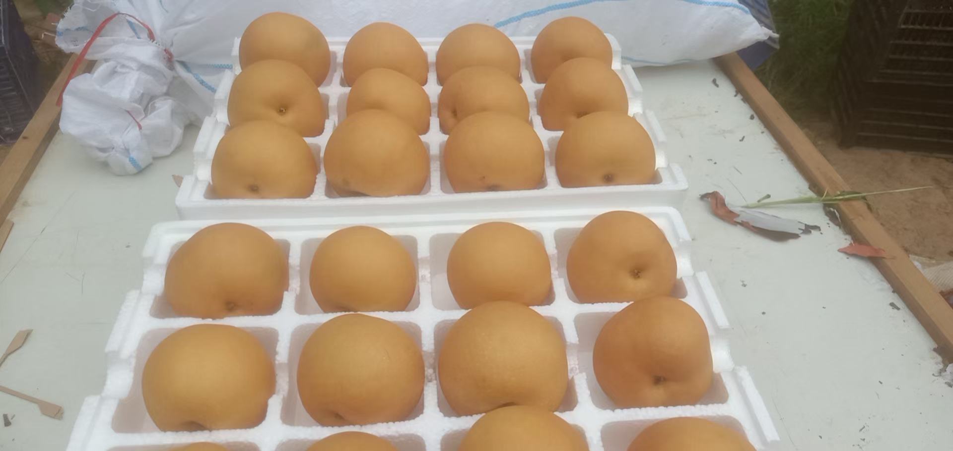 丰水梨包装与物流中心