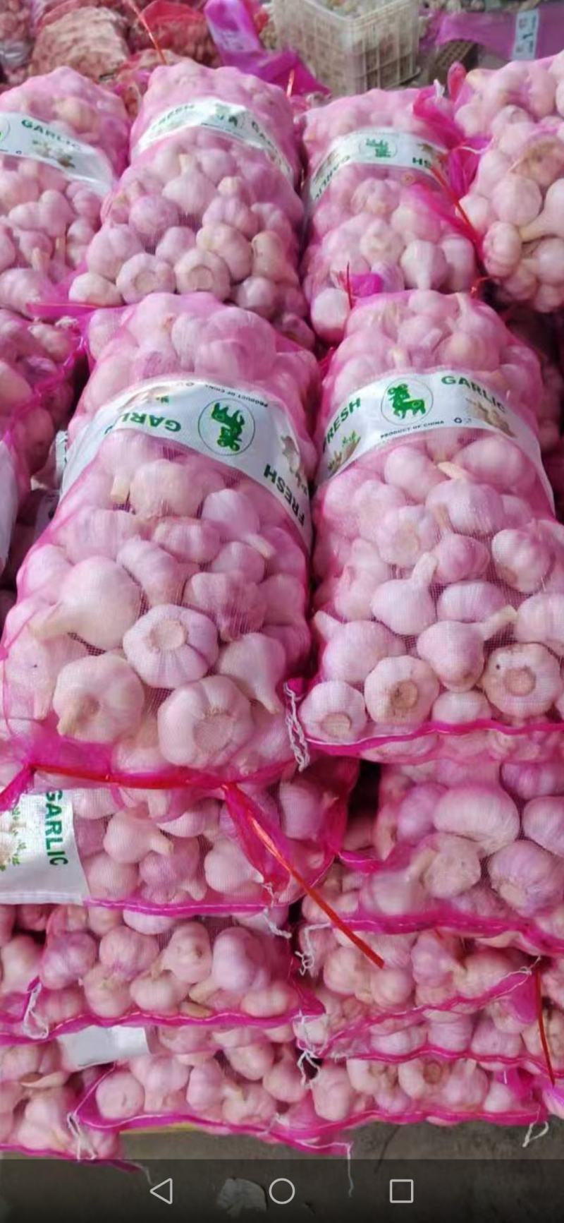 金乡大蒜批发产地发货一手货源欢迎各地老板来电洽谈