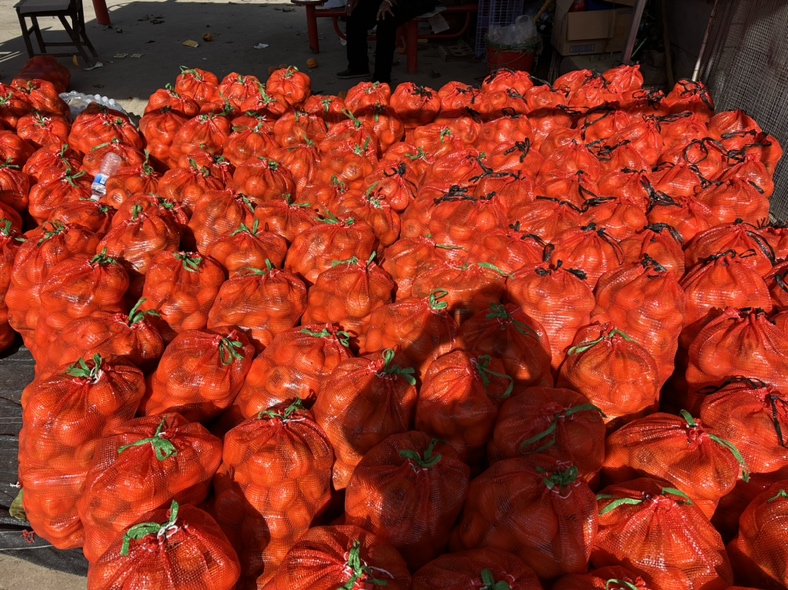 成熟的磨盘柿实物图