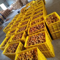 【产地发货】精品柿饼可供电商水果市场各大商超欢迎对接