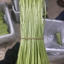 精品藜蒿