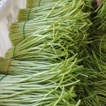 【推荐】精品芦蒿白蒿产地直发全国代发偏执保障欢迎