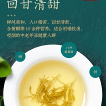 永顺莓茶