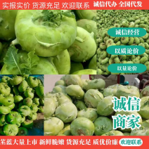 青苤蓝大量走货中，酱菜厂腌制，市场售卖质优价廉