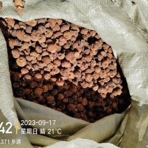 刺梨