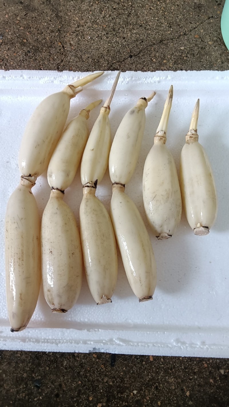特菜酒店专用的七孔水果藕,生吃脆甜,入口无渣.
