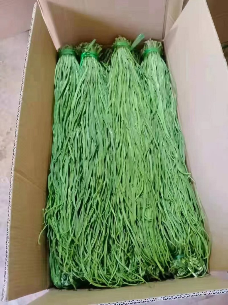 云南特产精品贡菜