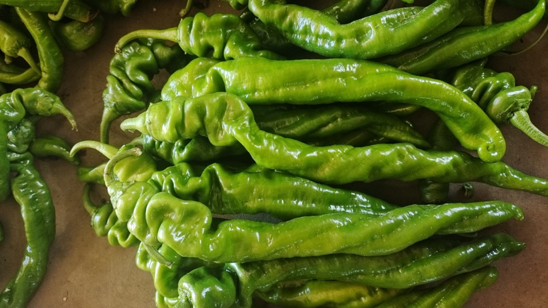 螺丝椒特写