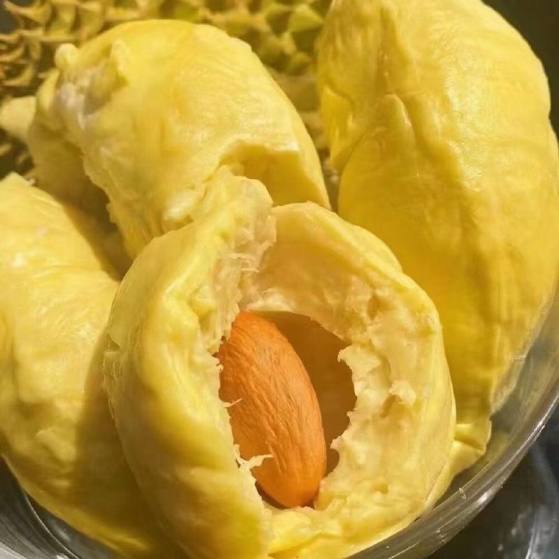 泰国金枕榴莲软糯香甜一手供应坏果包赔包售后