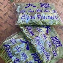 精品大叶豌豆尖一手货源欢迎新老顾客前来咨询