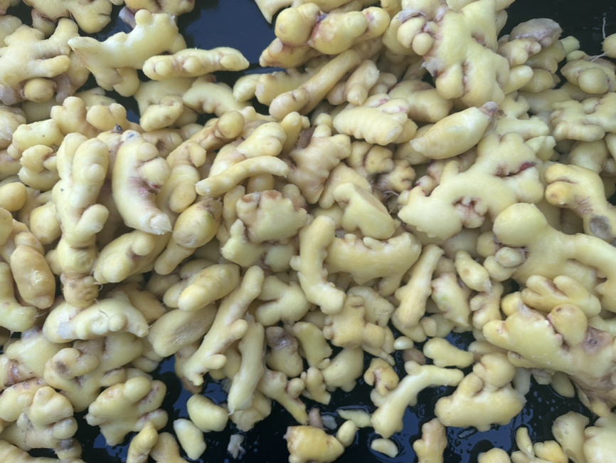 圆包菜与泡菜酱料充分混合