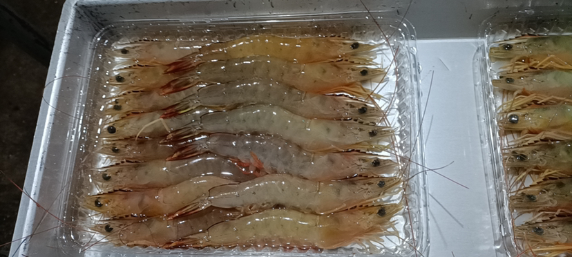 干香菇虾皮味精成品图