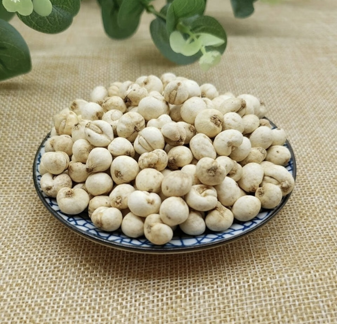 川贝母不同品类对比图