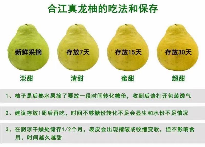 合江老树真龙柚皮薄味甜水份足易存放