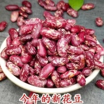 云南彝良大花红豆