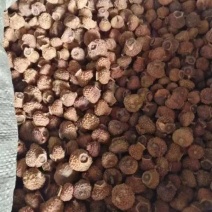 刺梨