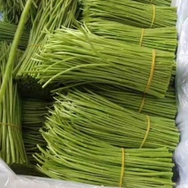 精品芦蒿