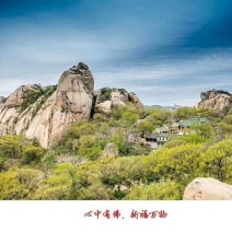 银杏果