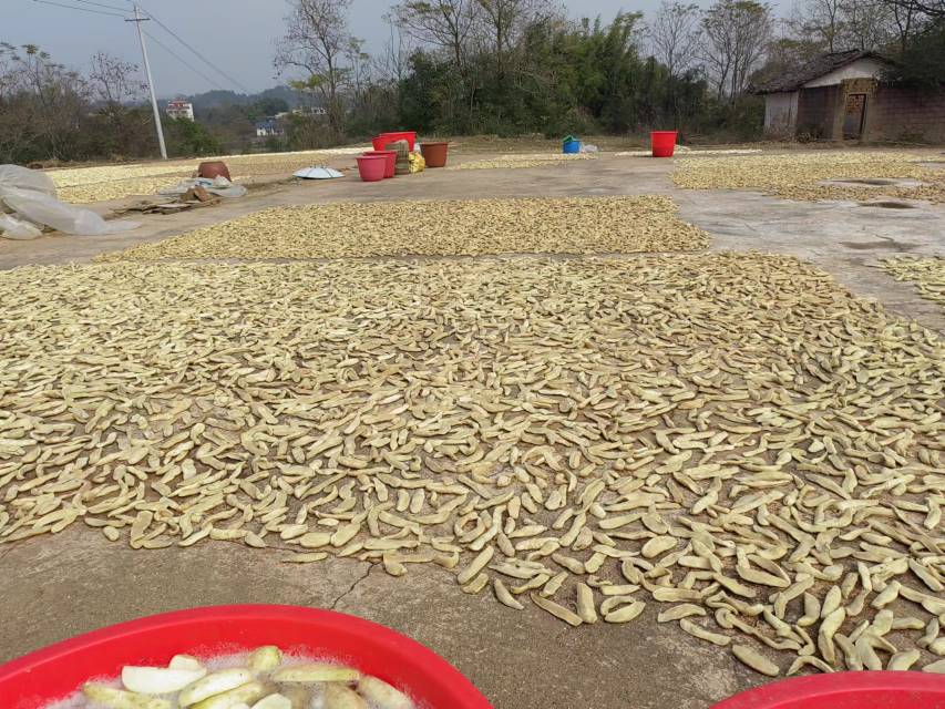 萝卜切条与脱水过程