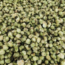 山茶花茶精选干山茶花云南白山茶花泡茶泡水山茶花干花产地直