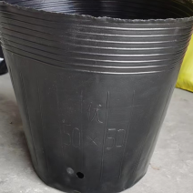 50×50营养钵150个，营养钵育苗杯加厚一次性育苗袋