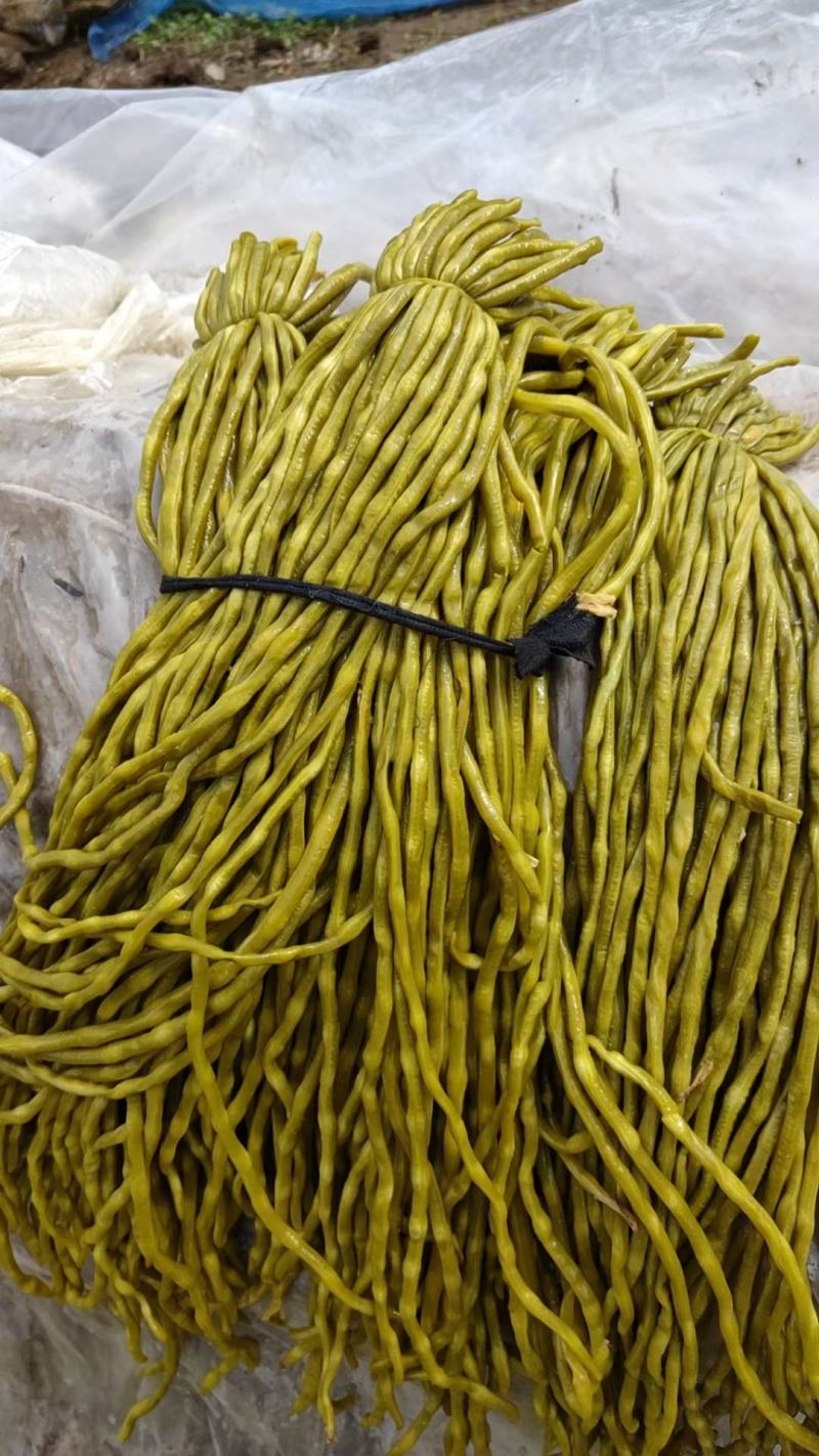 湖南酸豆角(今年新鲜货)支持各种包装.以质量求生存