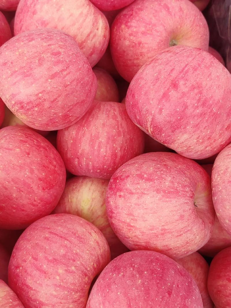 精品纸袋膜袋红富士苹果条红按需包装可对接商超团购