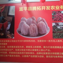 陕西富平秦源柿业优质柿饼